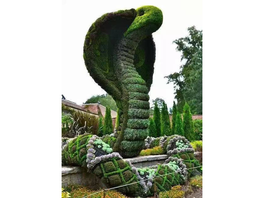 绿雕（3D植物雕塑） (4)
